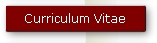 Curriculum Vitae